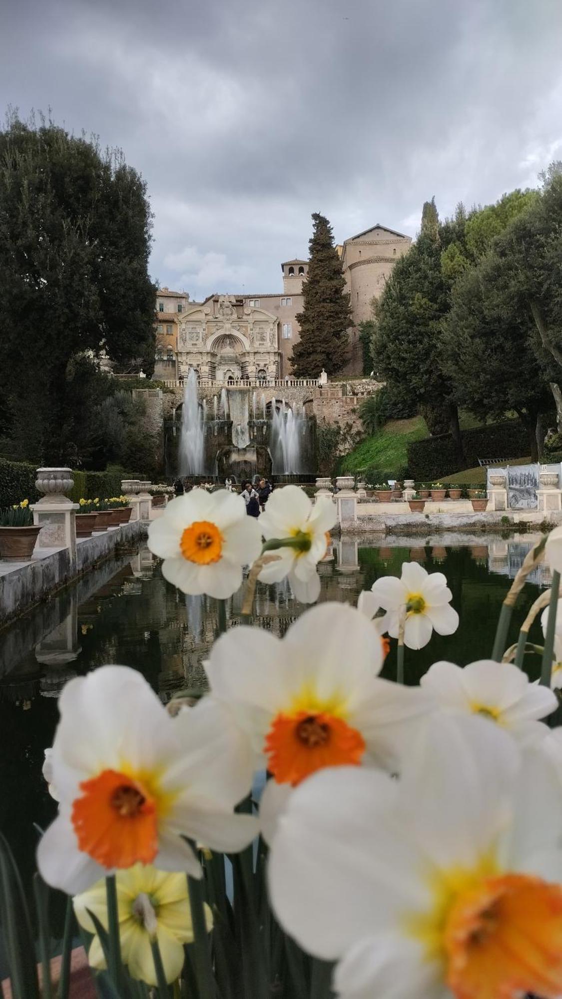 Alf E Ann B&B Tivoli Terme Bagian luar foto